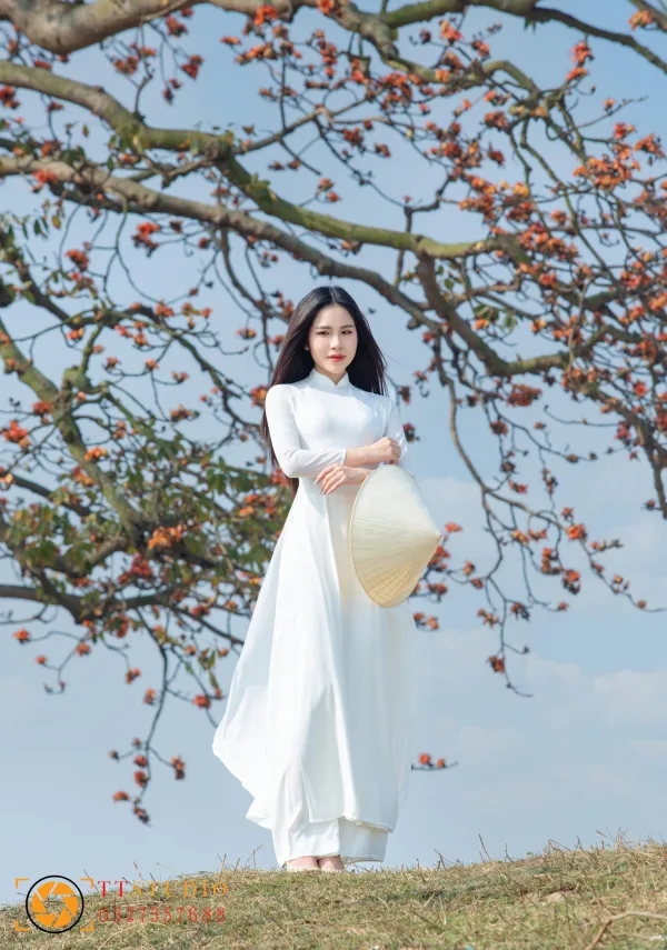 Hình ảnh Hoa Gạo