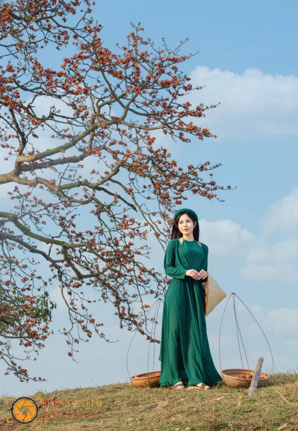 Hình ảnh Hoa Gạo