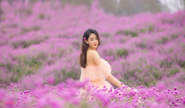 Ảnh Hoa Bách Nhật Thảo Nguyên Hoa Long Biên
