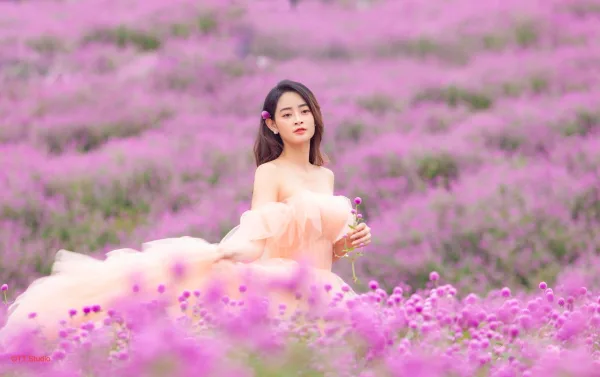 Ảnh Hoa Bách Nhật Thảo Nguyên Hoa Long Biên