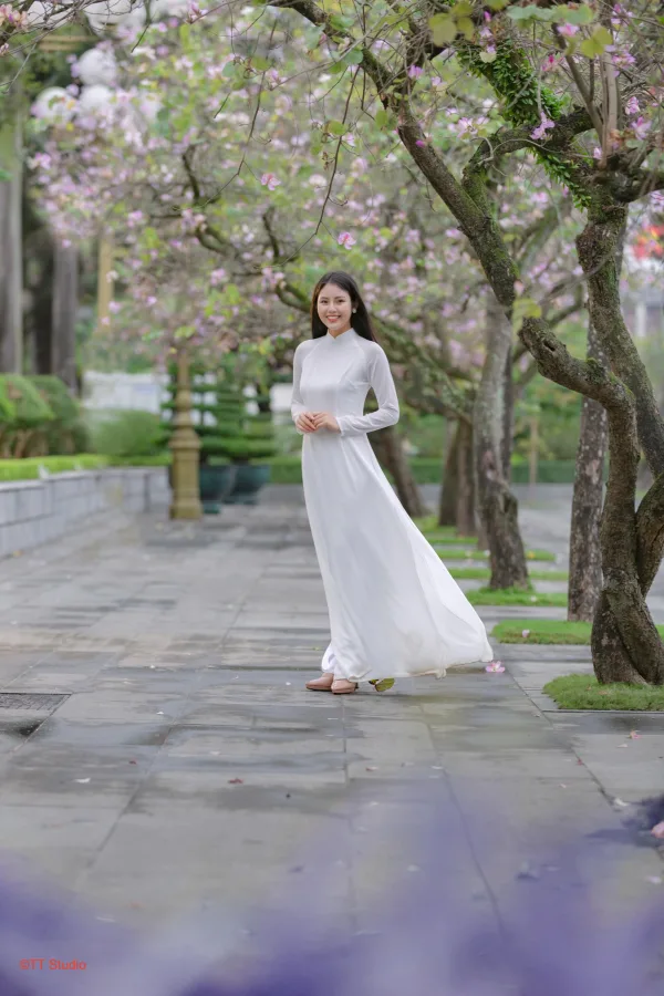 Hoa ban bắc sơn hoàng diệu