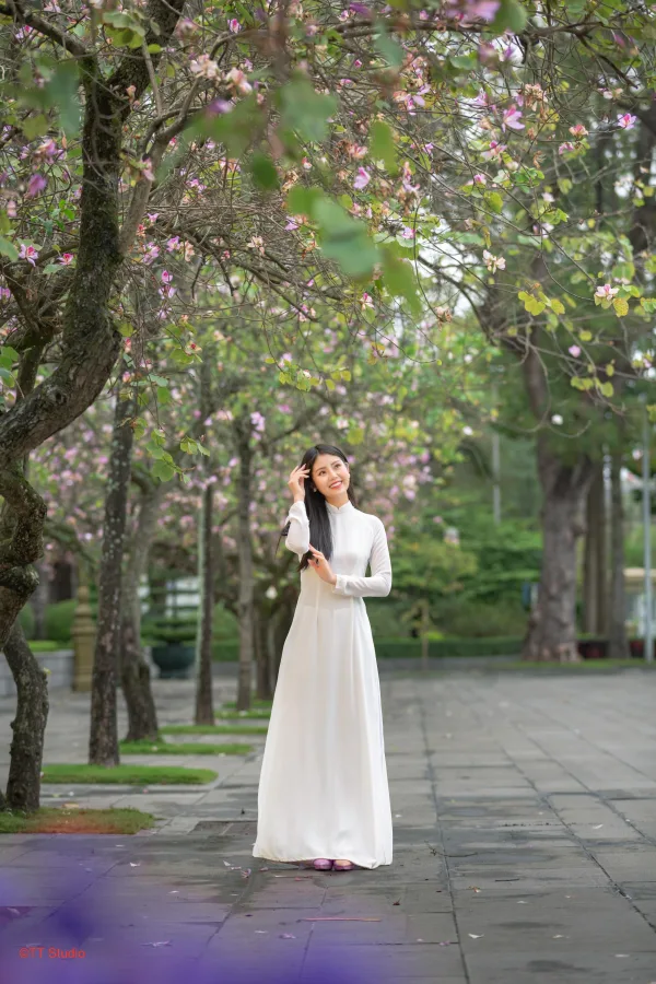 Hoa ban bắc sơn hoàng diệu