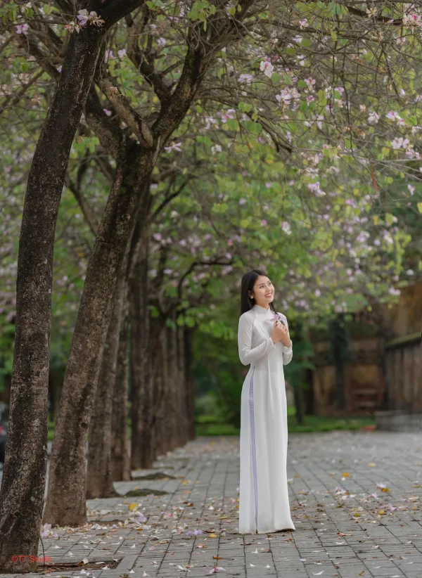 Hoa ban bắc sơn hoàng diệu