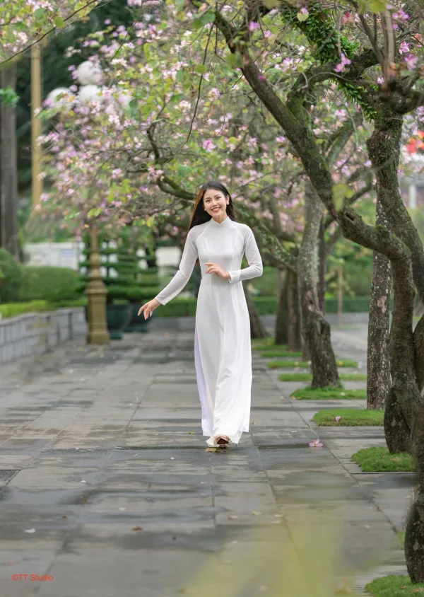 Hoa ban bắc sơn hoàng diệu