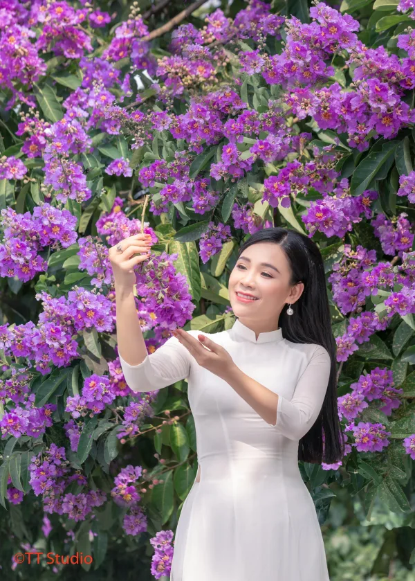 Chụp Ảnh Hoa Bằng Lăng đẹp