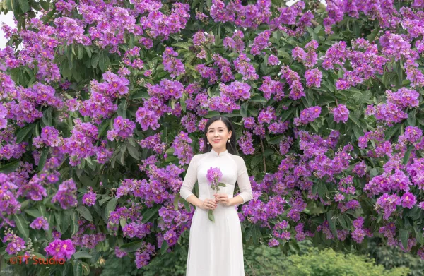 Chụp Ảnh Hoa Bằng Lăng đẹp