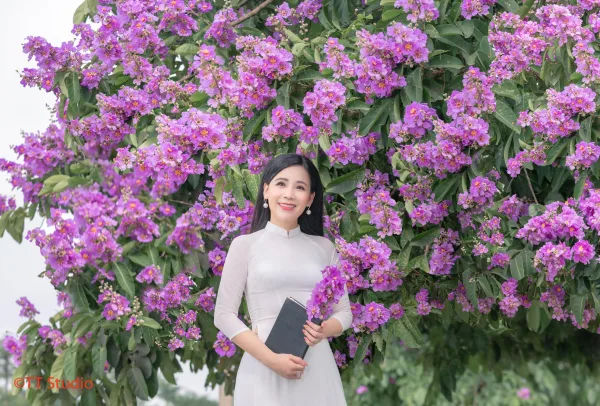 Chụp Ảnh Hoa Bằng Lăng đẹp Hà Nội