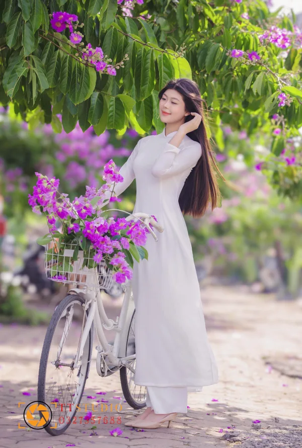 Hình ảnh hoa bằng lăng tím