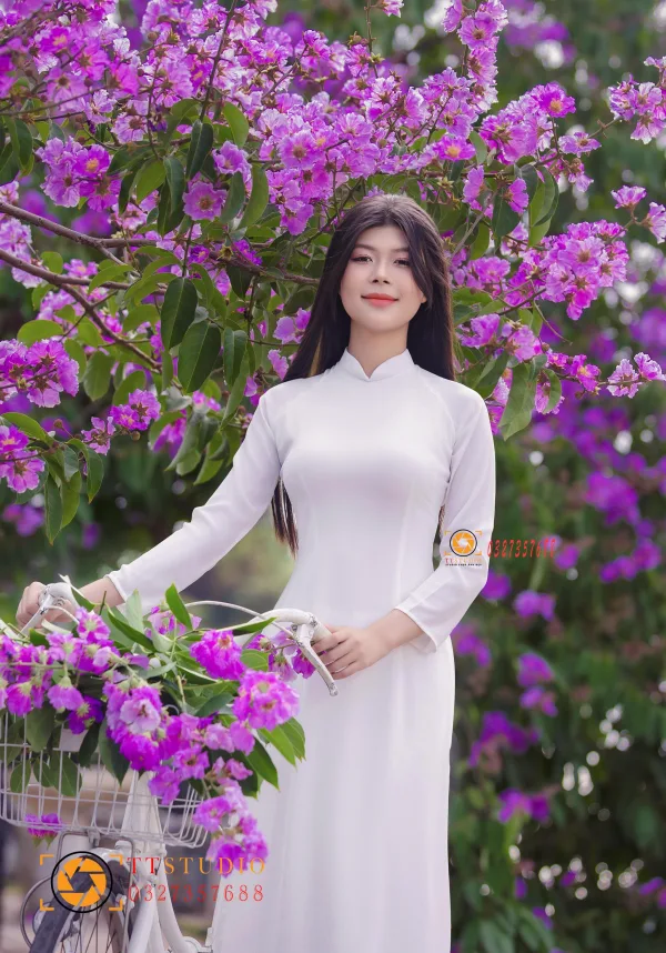 Hình ảnh hoa bằng lăng tím