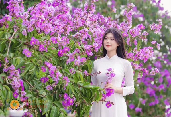 Hình ảnh hoa bằng lăng tím