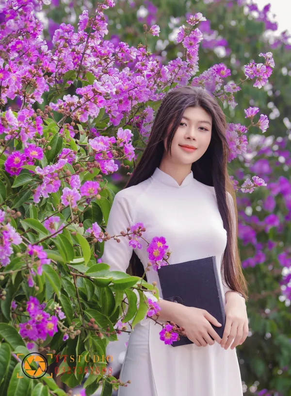 Hình ảnh hoa bằng lăng tím