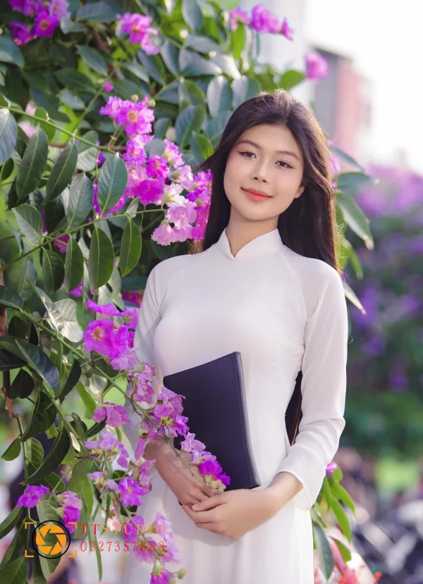 Hình ảnh hoa bằng lăng tím