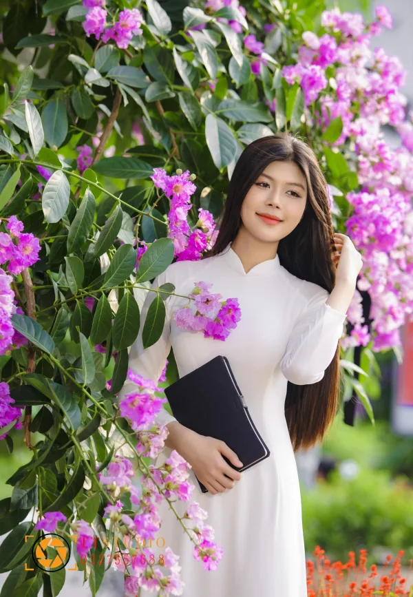 Hình ảnh hoa bằng lăng tím