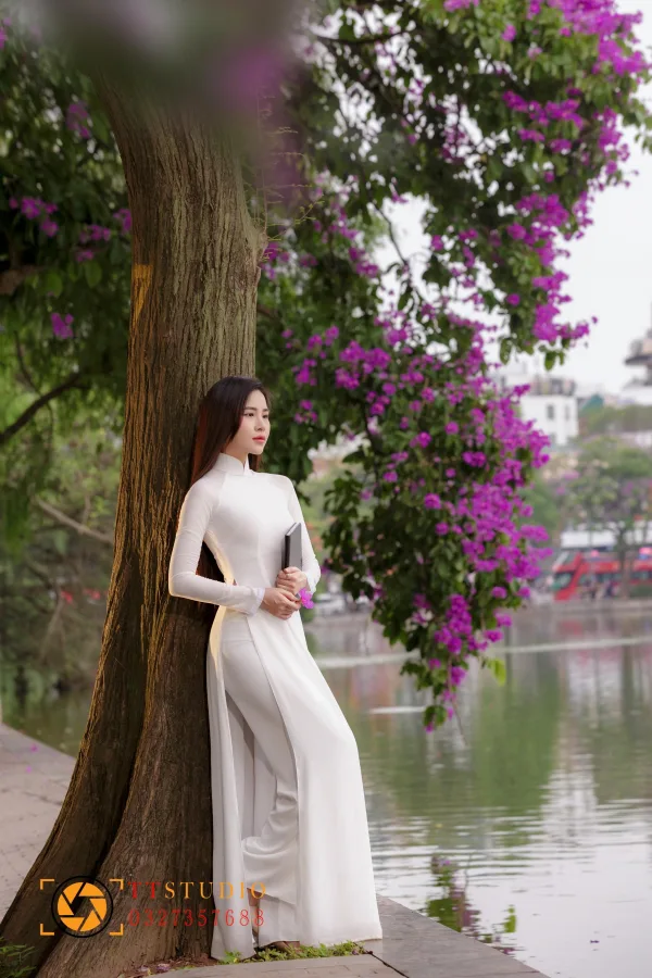 Hoa Bằng Lăng Hà Nội