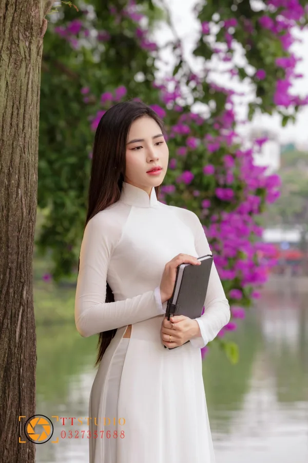 Hoa Bằng Lăng Hà Nội