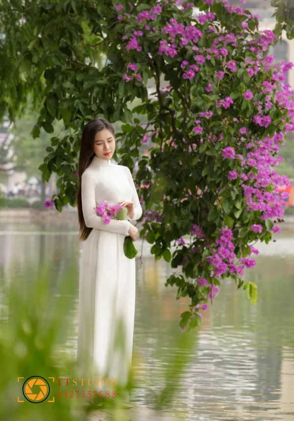 Hoa Bằng Lăng Hà Nội