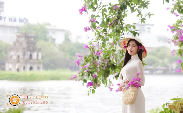 Hoa Bằng Lăng Hà Nội