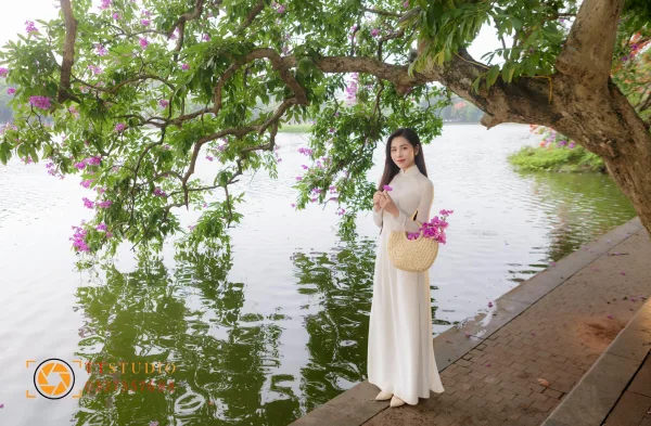 Hoa Bằng Lăng Hà Nội