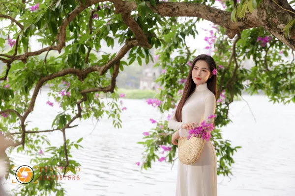 Hoa Bằng Lăng Hà Nội