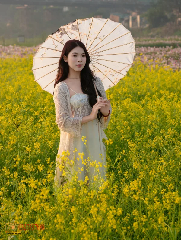 Ảnh hoa cải