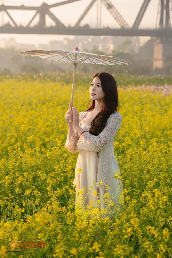 Ảnh hoa cải