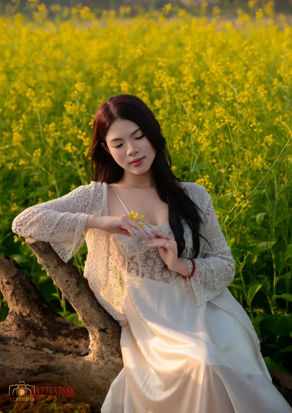 Ảnh hoa cải
