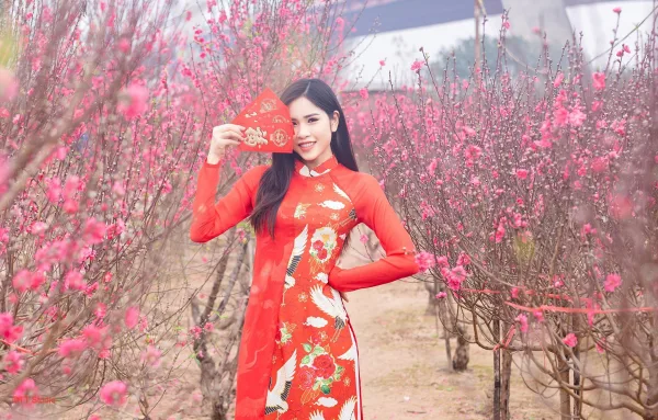 Ảnh chụp với Hoa Đào