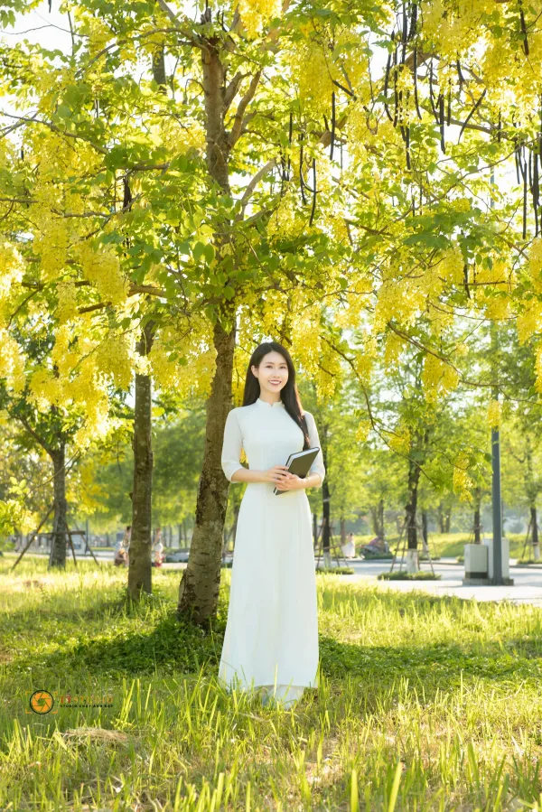 Hoa hoang yến