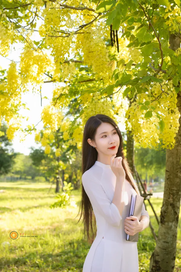 Hoa hoang yến