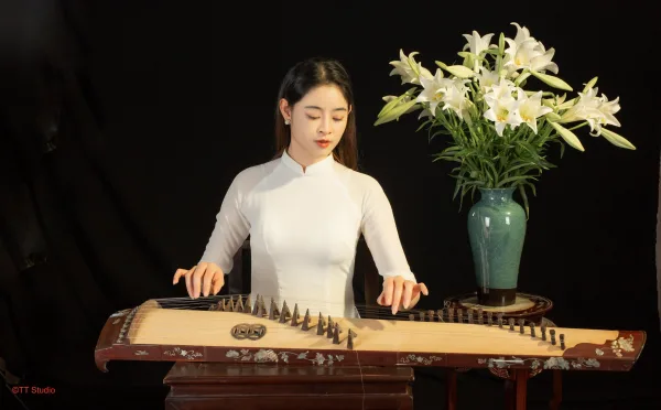 Hoa loa kèn trong studio