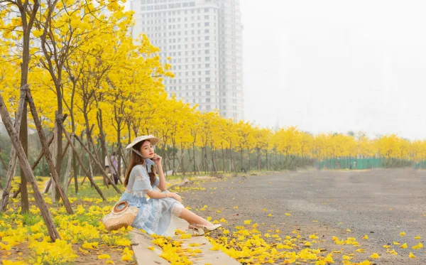 Hoa Phong Linh Hà Đông