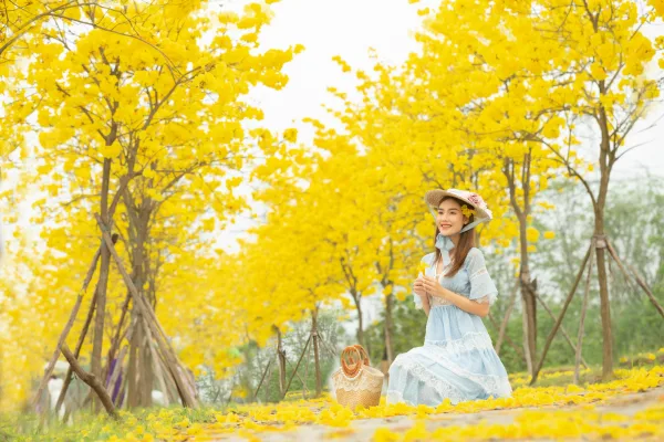 Váy chụp ảnh hoa vàng