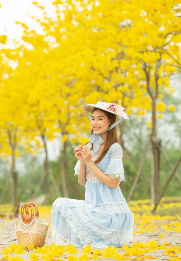Hoa Phong Linh Hà Đông