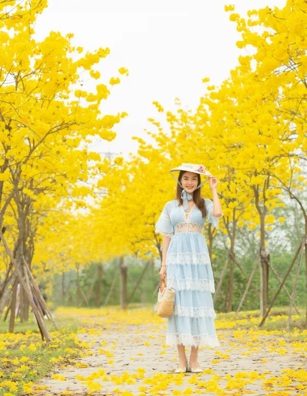 Hoa Phong Linh Hà Đông