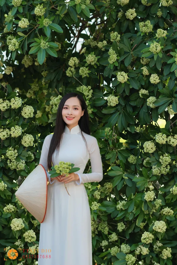 Bộ ảnh Hoa Sữa