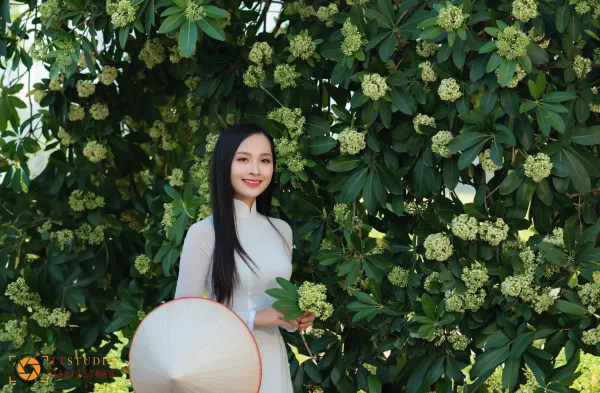 Bộ ảnh Hoa Sữa
