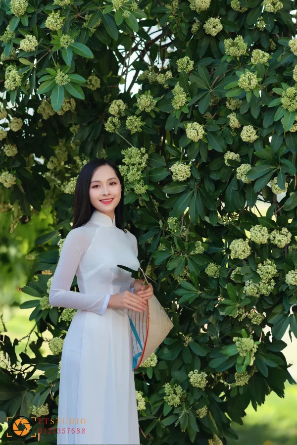 Bộ ảnh Hoa Sữa