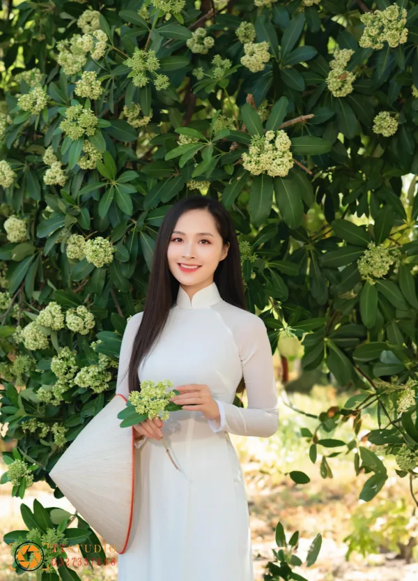 Bộ ảnh Hoa Sữa