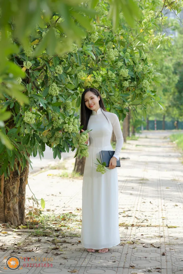 Hình ảnh hoa sữa mùa thu Hà Nội