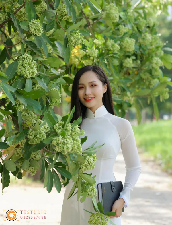 Hình ảnh hoa sữa mùa thu Hà Nội