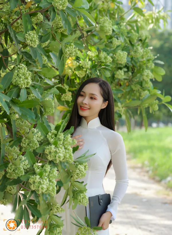 Hình ảnh hoa sữa mùa thu Hà Nội