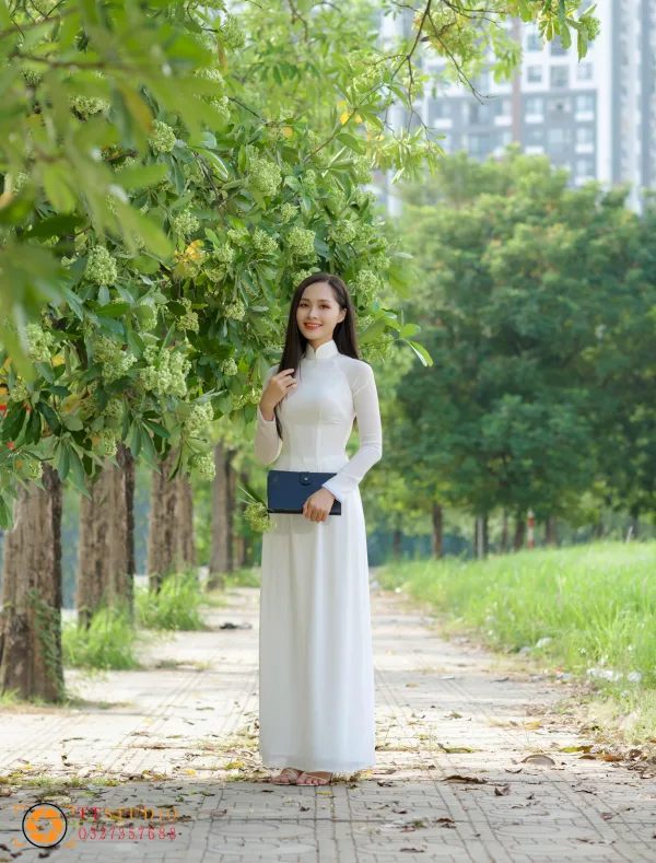 Hình ảnh hoa sữa mùa thu Hà Nội