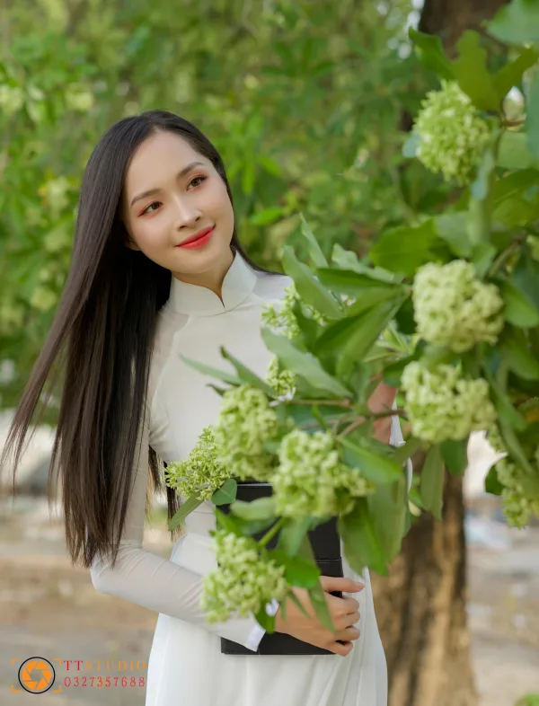 Hình ảnh hoa sữa mùa thu Hà Nội