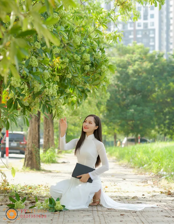 Hình ảnh hoa sữa mùa thu Hà Nội