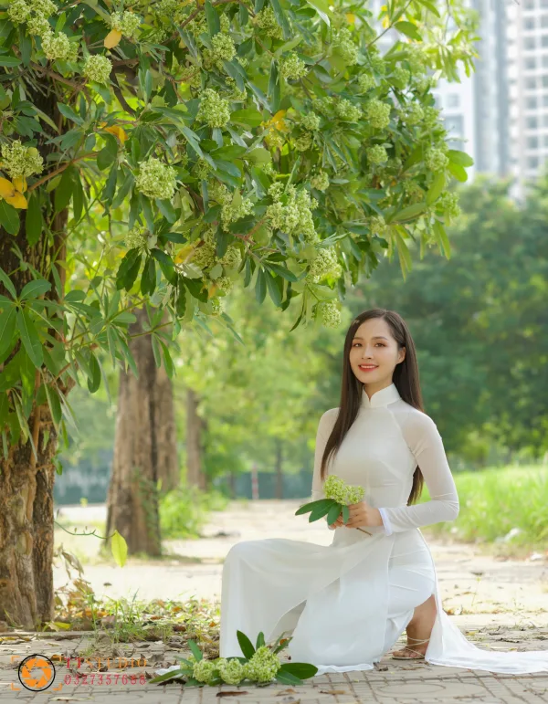 Hình ảnh hoa sữa mùa thu Hà Nội