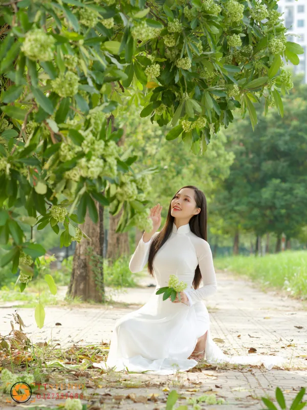Hình ảnh hoa sữa mùa thu Hà Nội