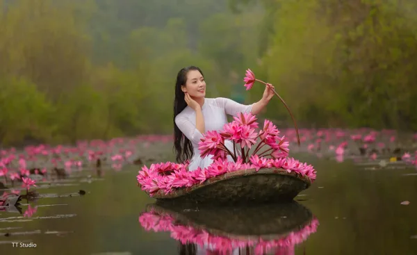 Ảnh Hoa Súng Suối Yến Chùa Hương
