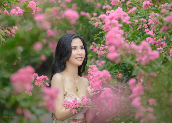 Ảnh hoa tường vi