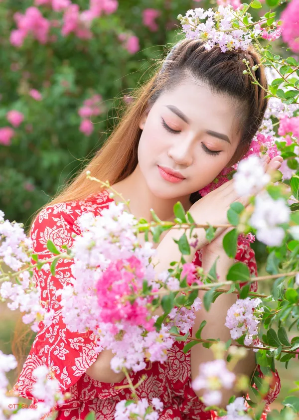 Ảnh hoa tường vi