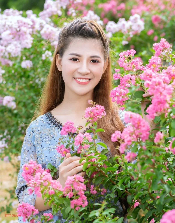 Ảnh hoa tường vi